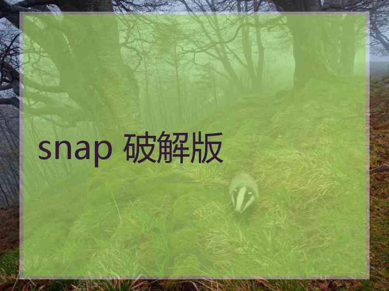 snap 破解版