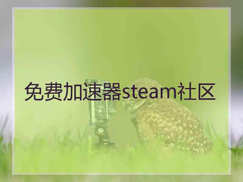 免费加速器steam社区