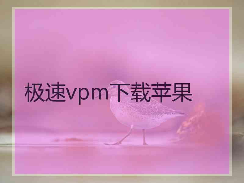 极速vpm下载苹果