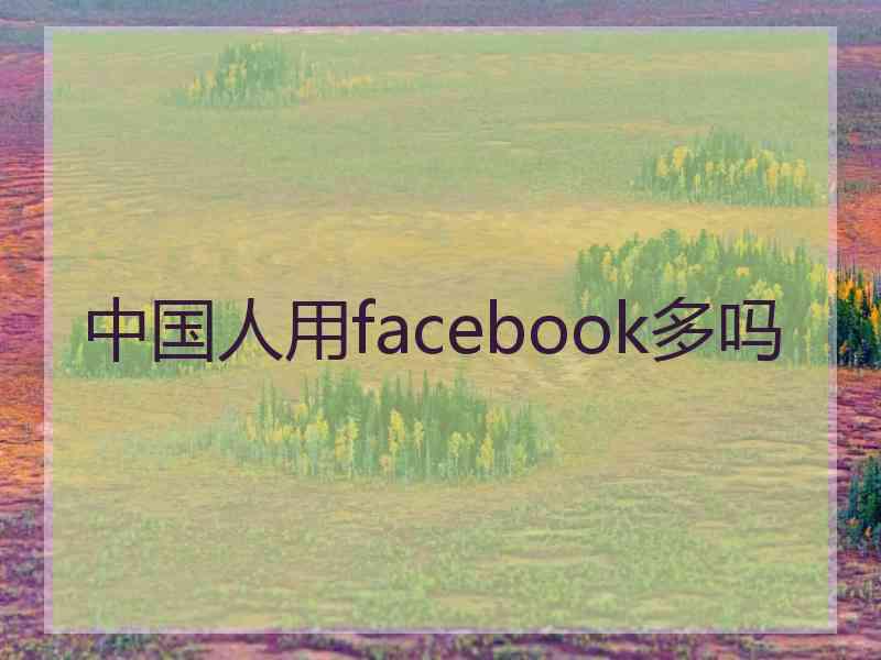 中国人用facebook多吗