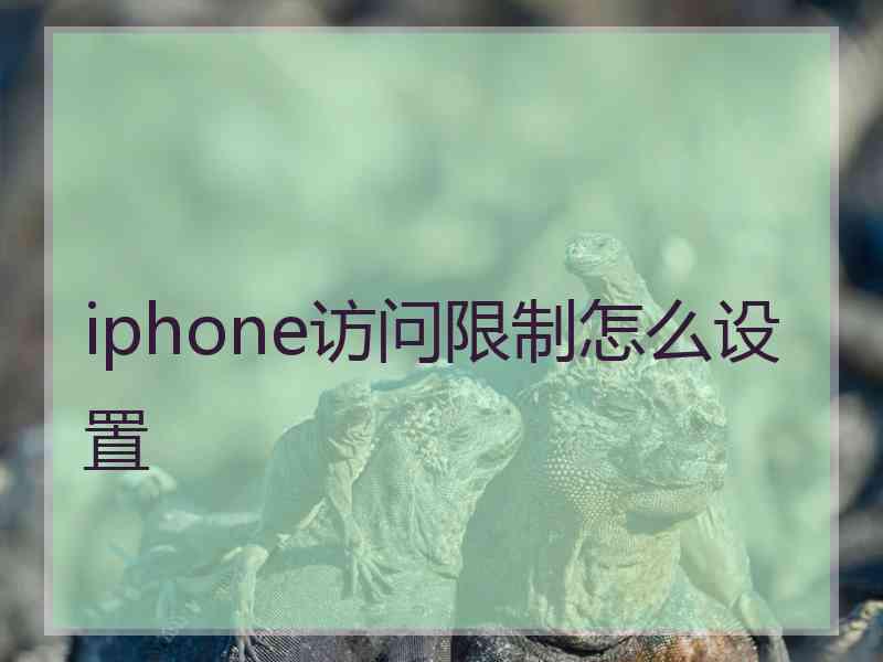 iphone访问限制怎么设置