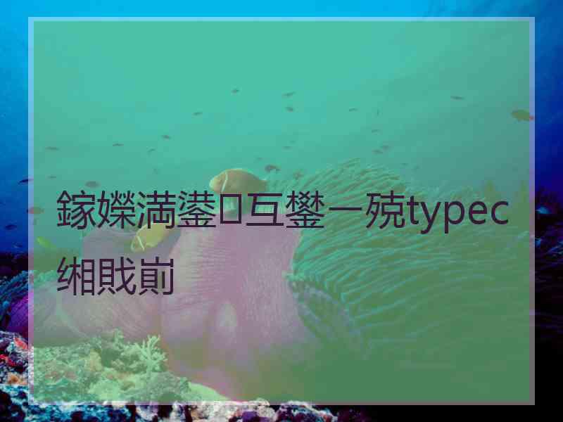 鎵嬫満鍙互鐢ㄧ殑typec缃戝崱