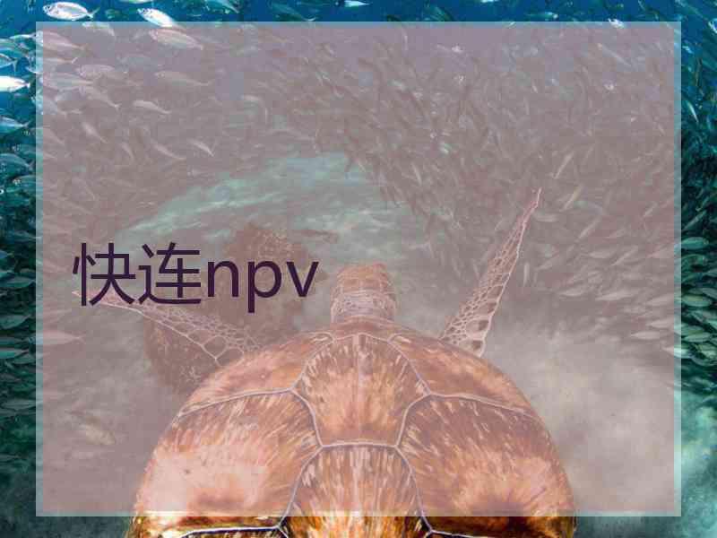 快连npv