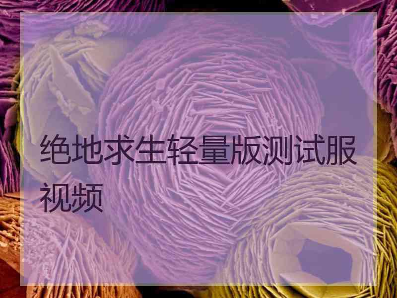 绝地求生轻量版测试服视频