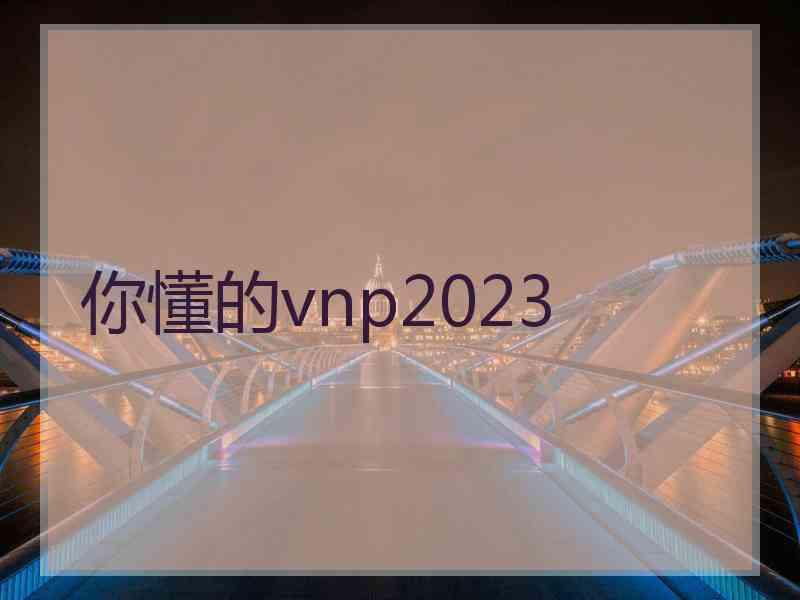 你懂的vnp2023