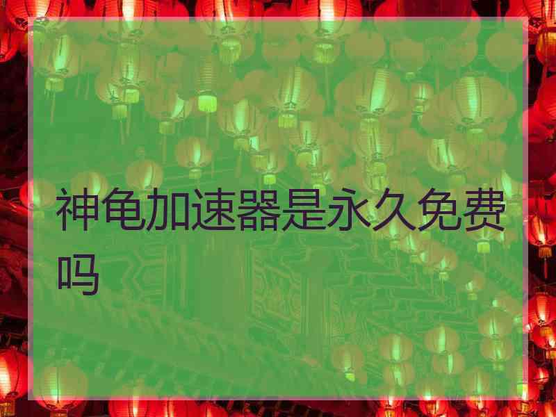 神龟加速器是永久免费吗