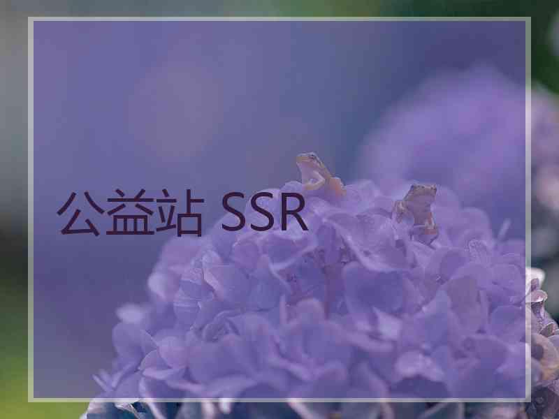 公益站 SSR