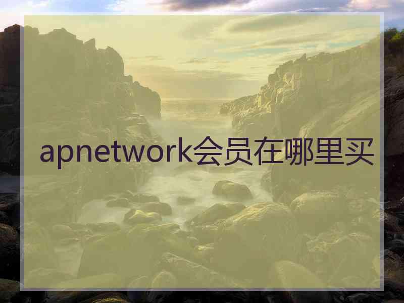 apnetwork会员在哪里买