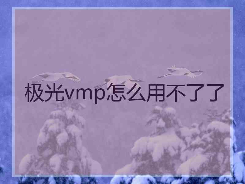 极光vmp怎么用不了了