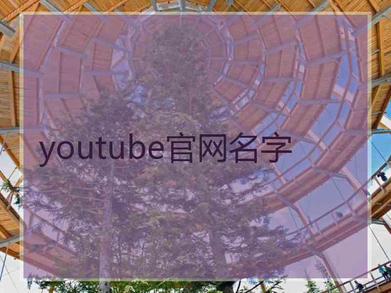 youtube官网名字