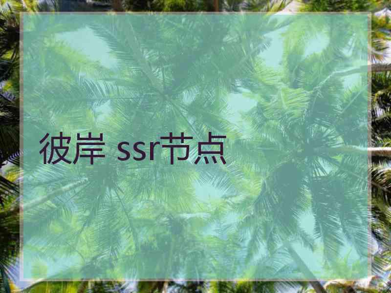 彼岸 ssr节点