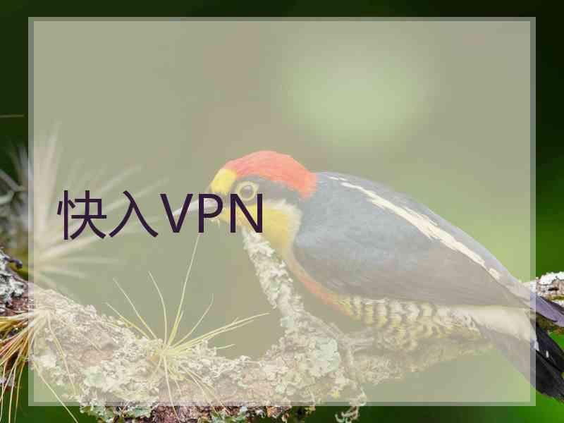 快入VPN