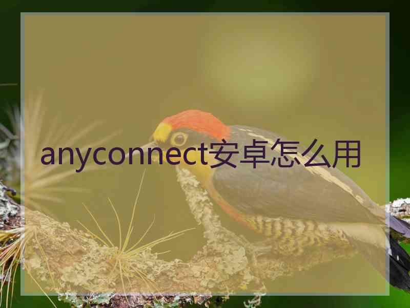 anyconnect安卓怎么用