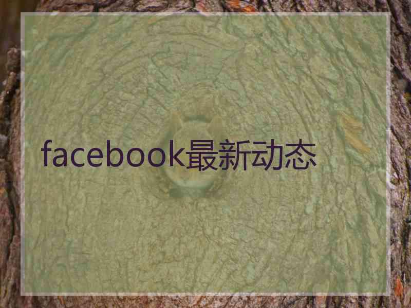 facebook最新动态