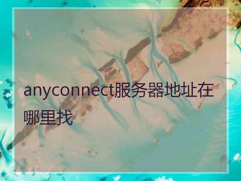 anyconnect服务器地址在哪里找