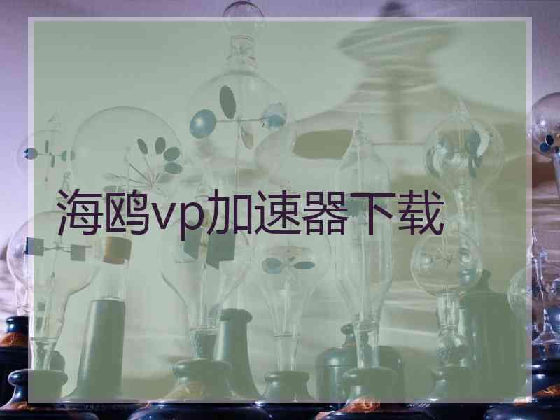 海鸥vp加速器下载