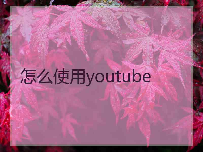 怎么使用youtube