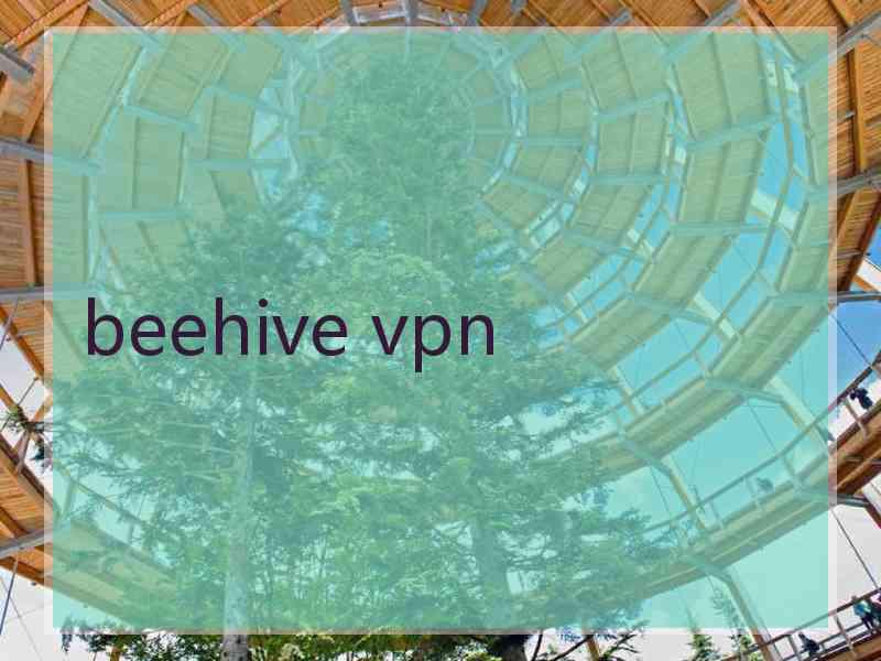 beehive vpn