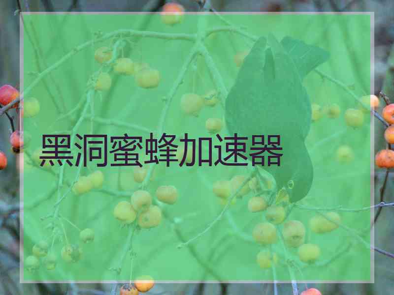 黑洞蜜蜂加速器