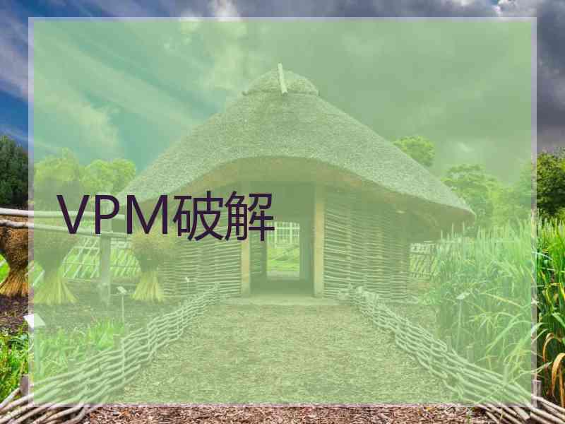 VPM破解