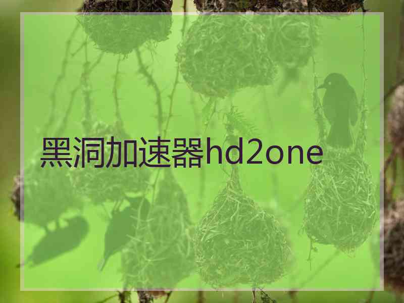 黑洞加速器hd2one