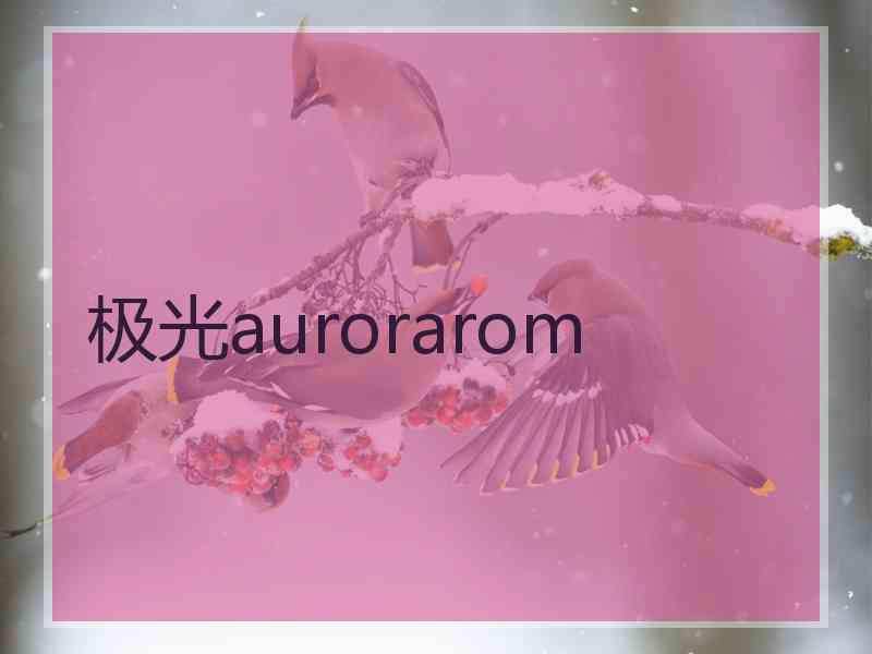 极光aurorarom