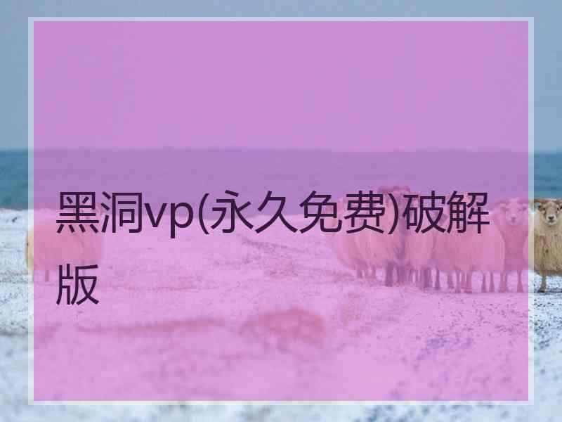 黑洞vp(永久免费)破解版