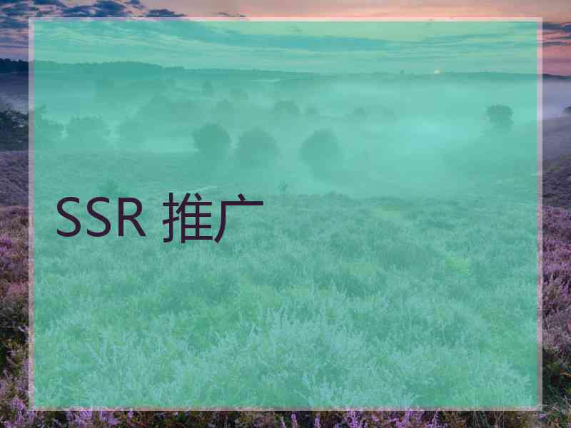 SSR 推广