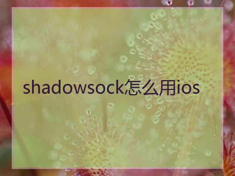 shadowsock怎么用ios