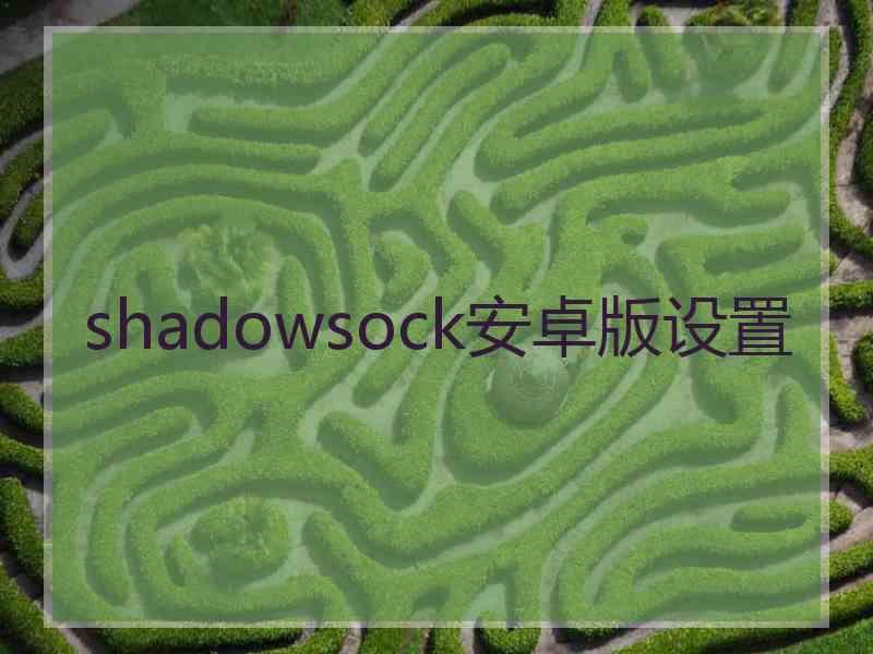 shadowsock安卓版设置