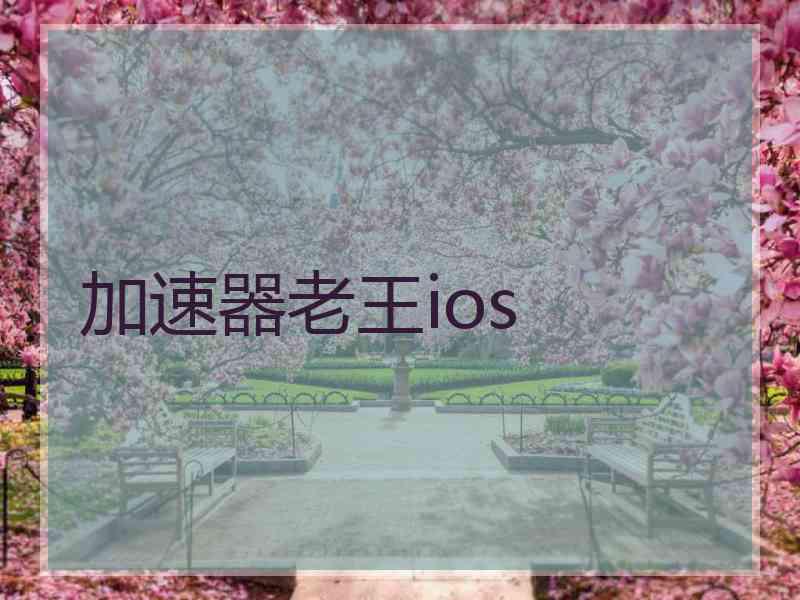 加速器老王ios