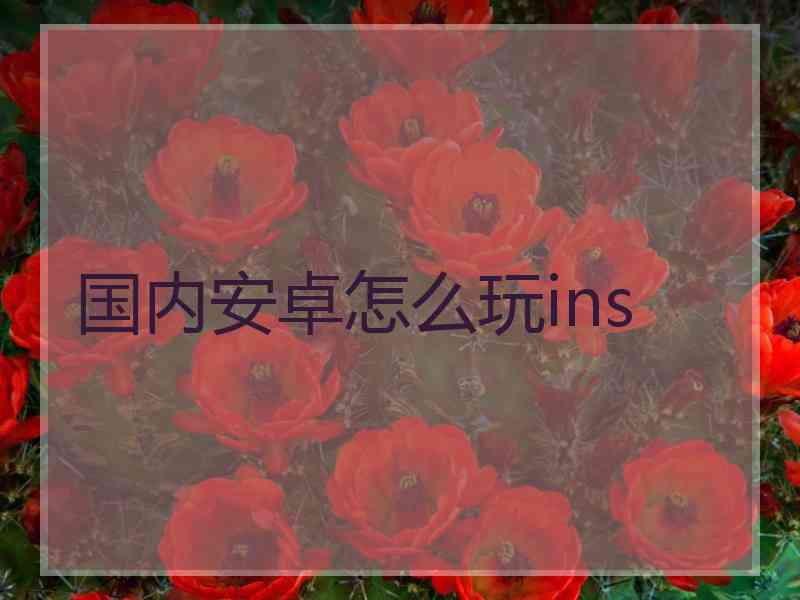 国内安卓怎么玩ins