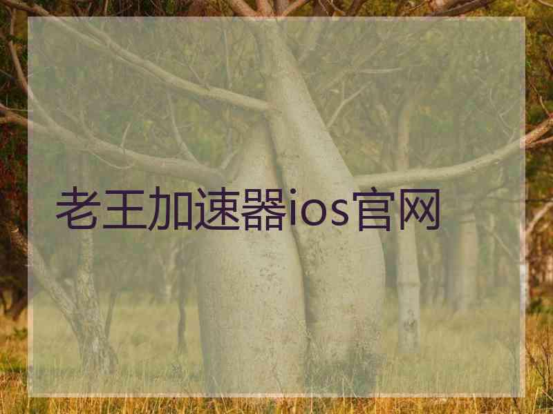 老王加速器ios官网