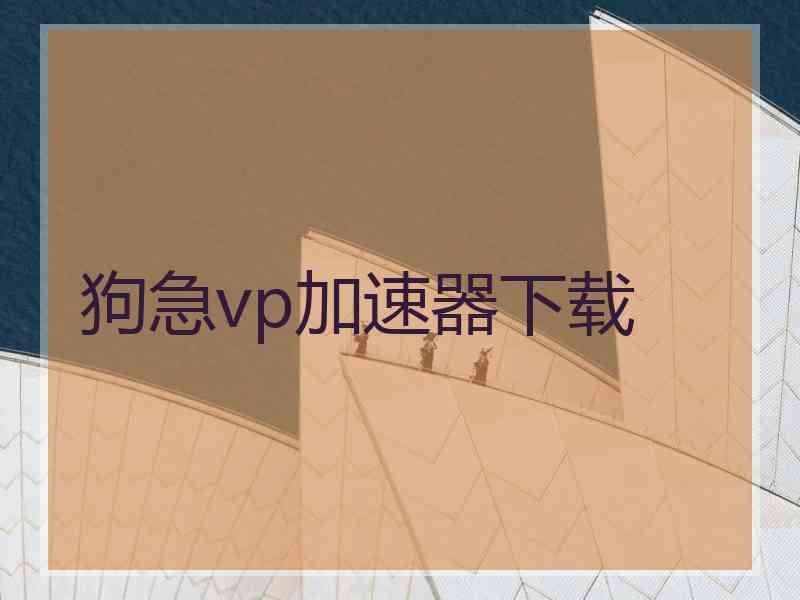 狗急vp加速器下载