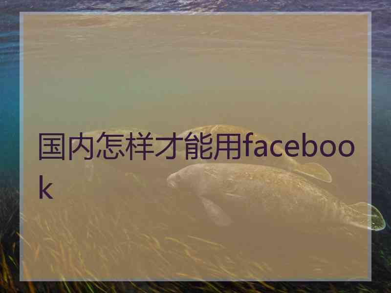 国内怎样才能用facebook