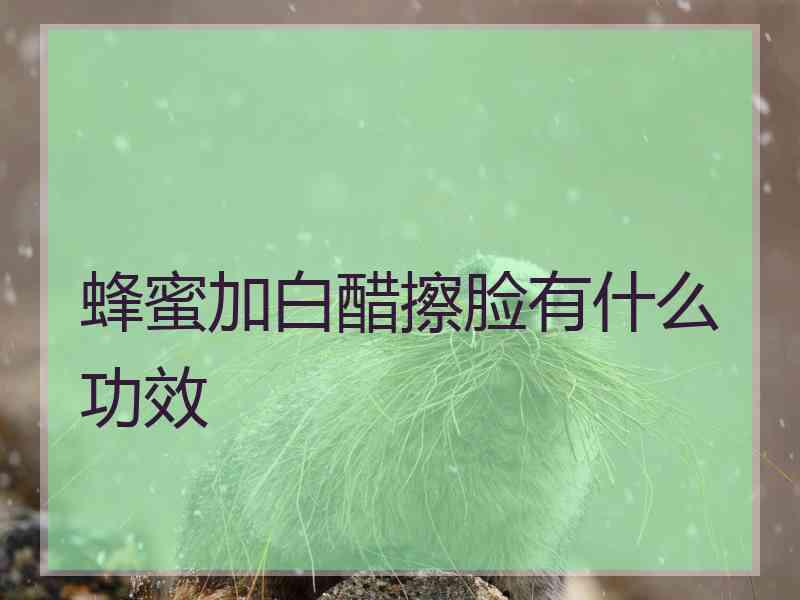 蜂蜜加白醋擦脸有什么功效