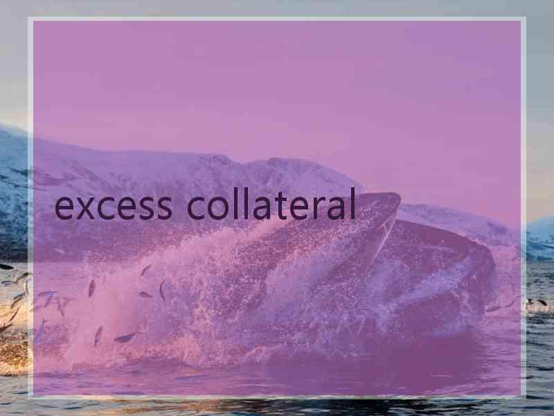 excess collateral