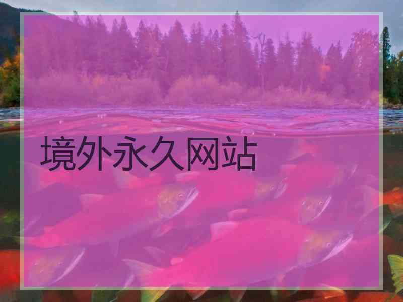 境外永久网站