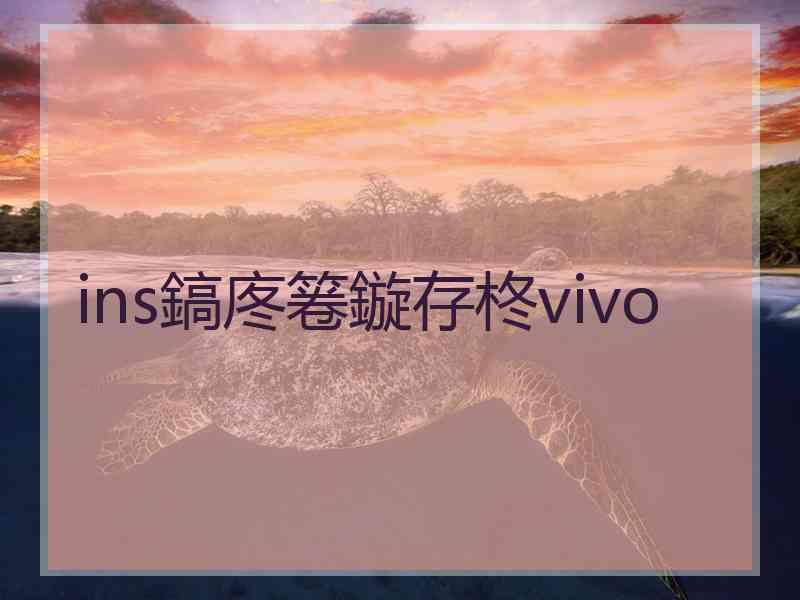 ins鎬庝箞鏇存柊vivo