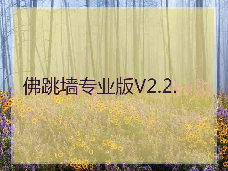 佛跳墙专业版V2.2.