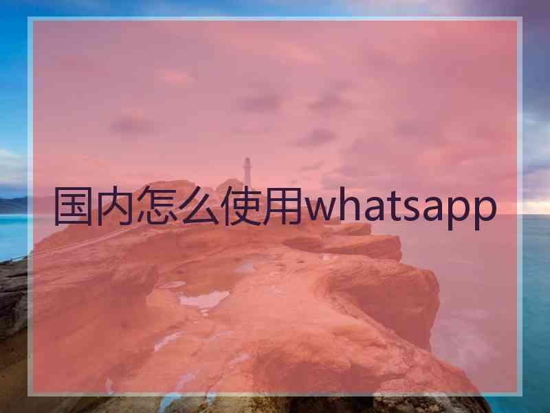 国内怎么使用whatsapp