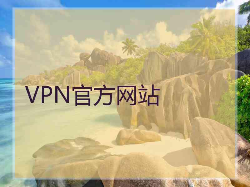 VPN官方网站