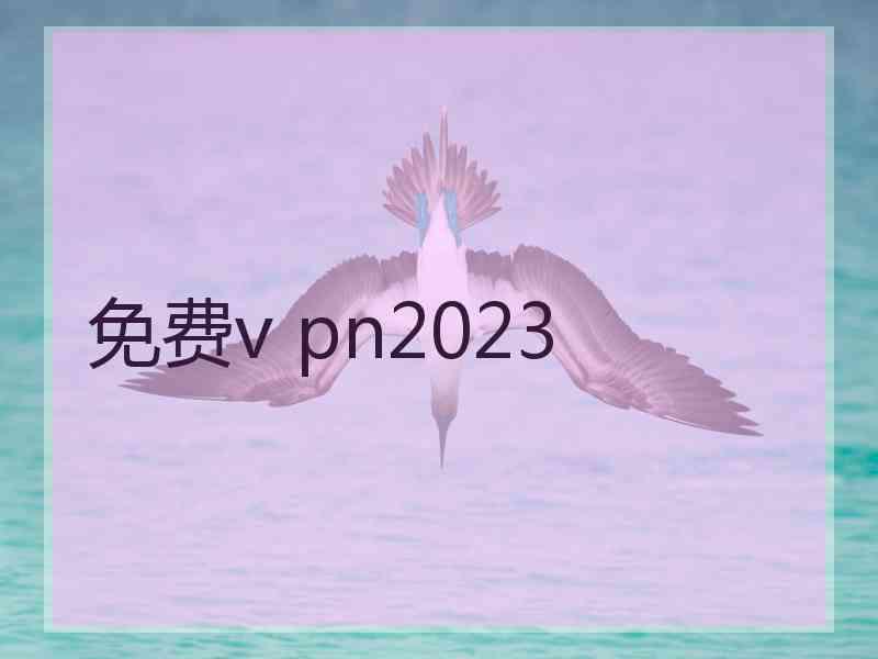 免费v pn2023