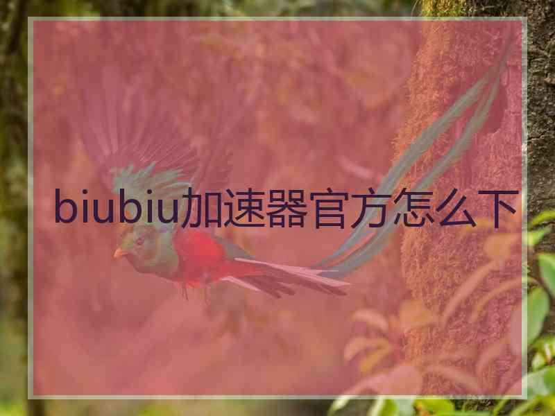 biubiu加速器官方怎么下