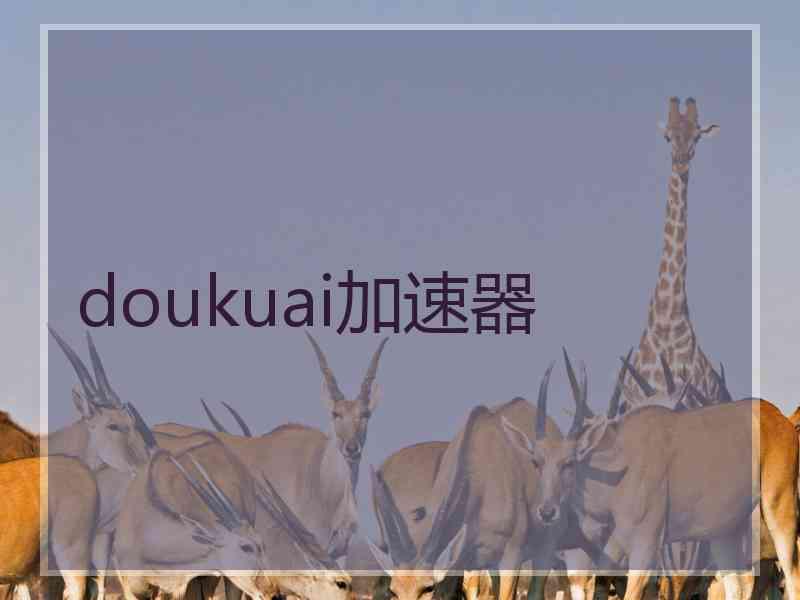 doukuai加速器