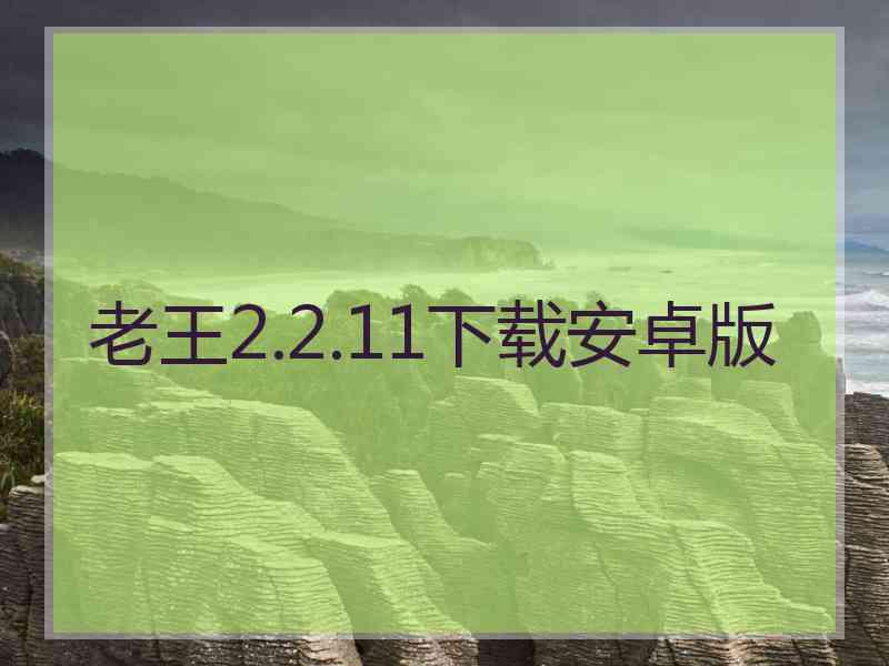 老王2.2.11下载安卓版