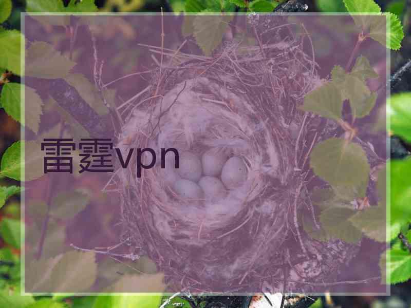 雷霆vpn