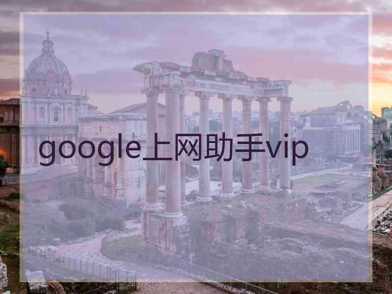 google上网助手vip