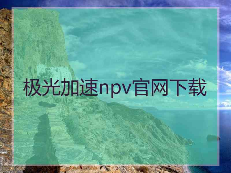 极光加速npv官网下载