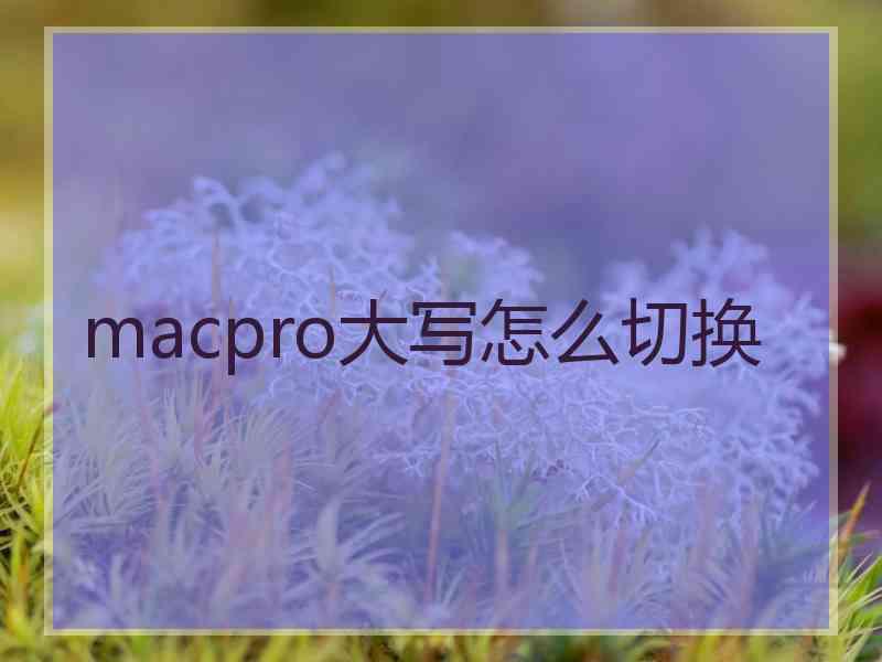 macpro大写怎么切换